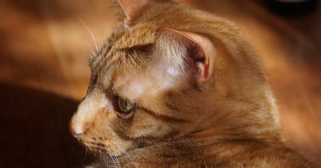 自分らしく静かに強くあることを象徴する七賢人の哲学的イメージ