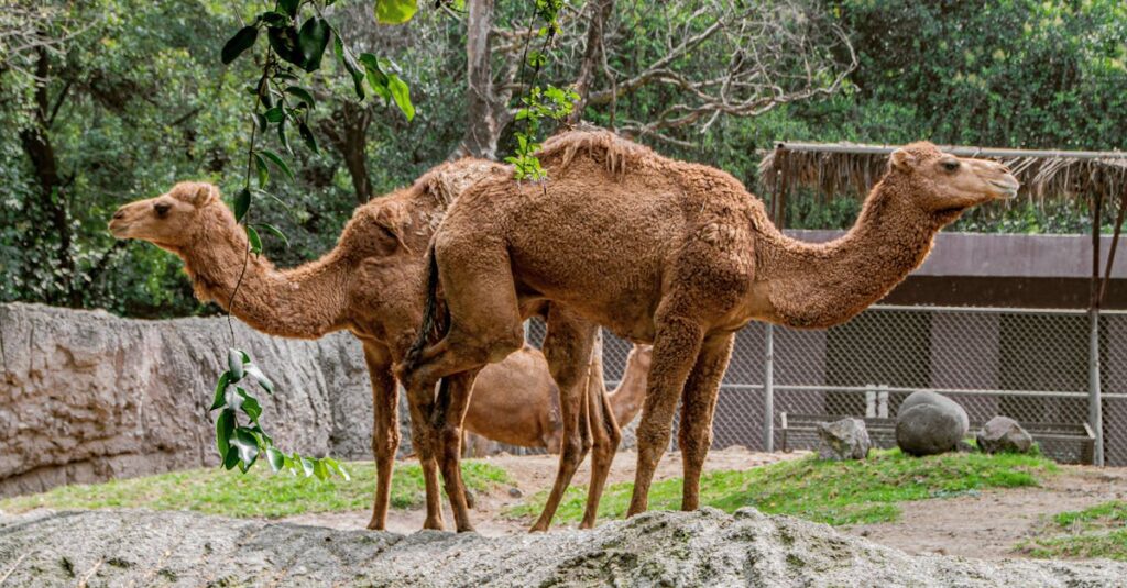 二面性を抱えるキャラと星座から学ぶ、自分の内面へのやさしいまなざし
