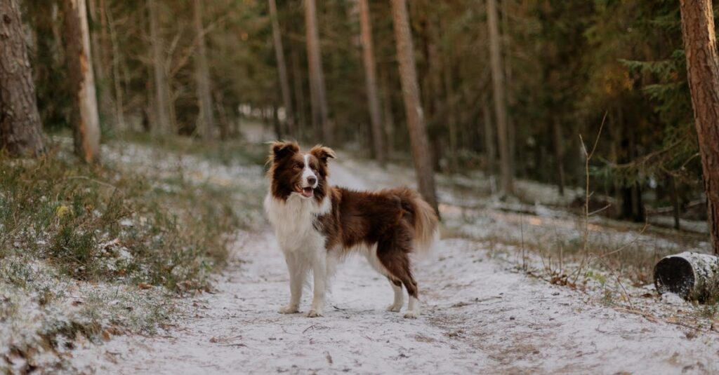 言葉ではなく静かな優しさで周囲とつながるモニカの姿