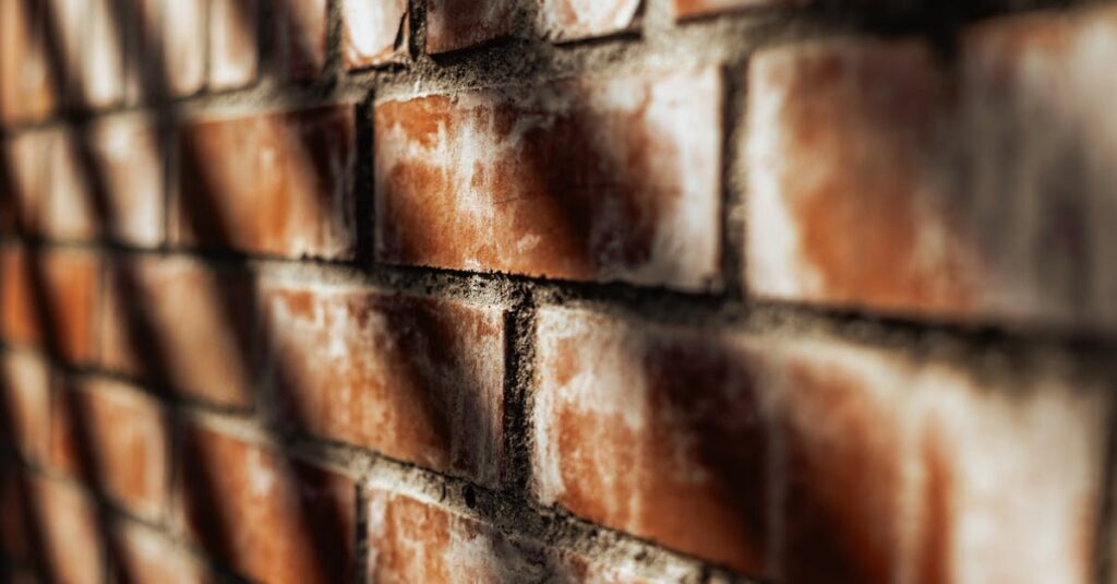 炭治郎の揺るぎないやさしさと、感情とともに立つ強さを表すイメージ