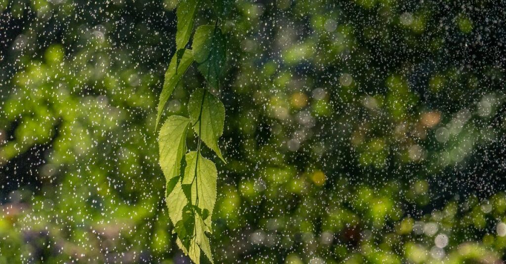 雨の音がゆっくりと心の緊張をほどいていくイメージ