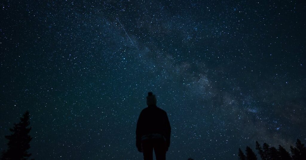 夜空の星を静かに見上げる人。好きなキャラクターは、自分の中にある何かを映しているのかもしれない。