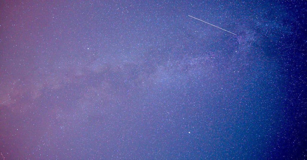 やわらかな星座の光。星とキャラクターを重ねることで、自分の本質が静かに見えてくる。