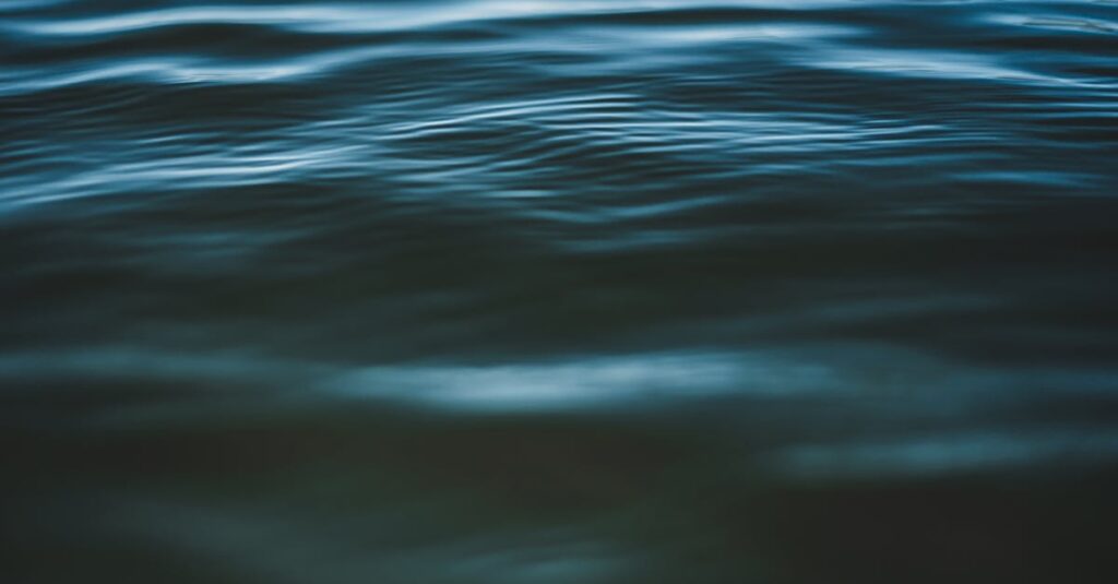 静かな水面に広がる波紋。禅タロットは、今この瞬間の自分の状態をそっと映し出す。