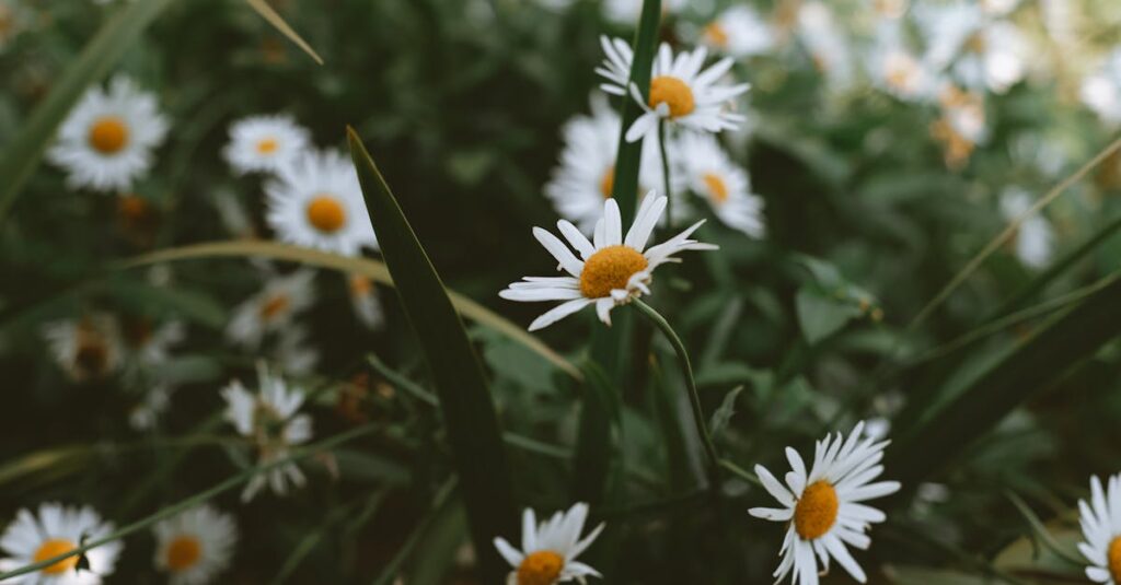 本当の強さとは何かを問いかけるファンタジー世界のキャラクターたちが並ぶ印象的なシーン