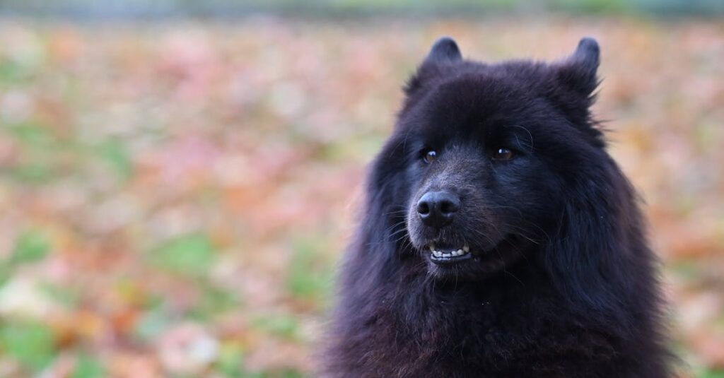 七賢人の個性と役割が調和した幻想的な魔術師集団のイメージ