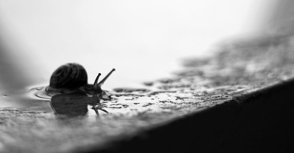 静けさの中で心を整える日本のアニメ映像のシーン