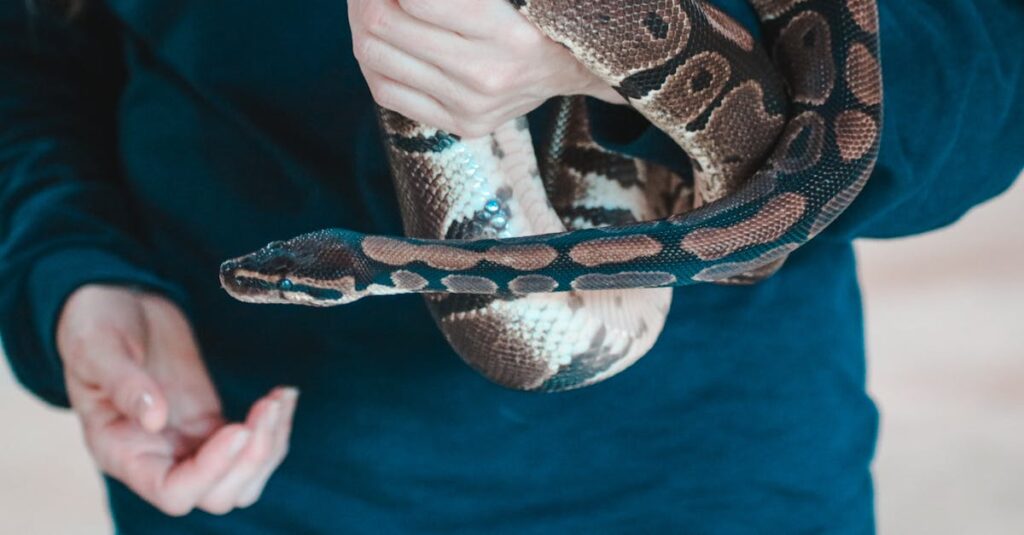 『言の葉の庭』の美しい雨の風景と音が心を落ち着かせる瞑想的なシーン