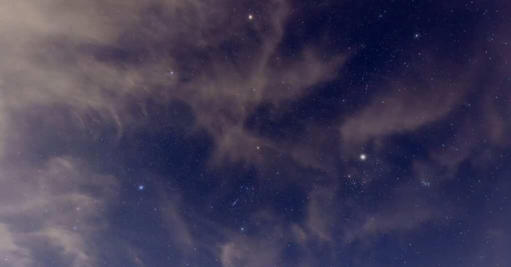 やわらかな星座の光。星とキャラクターを重ねることで、自分の本質が静かに見えてくる。