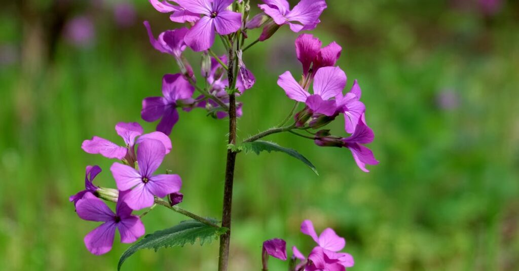 素直さを育てるための優しいアドバイスをアニメ風に表現したイラスト