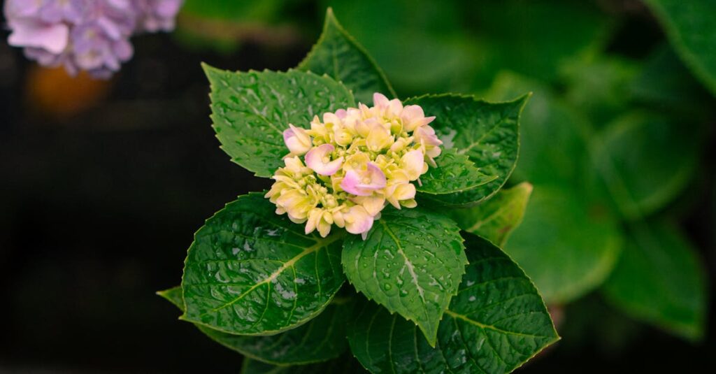 雨の音がゆっくりと心の緊張をほどいていくイメージ