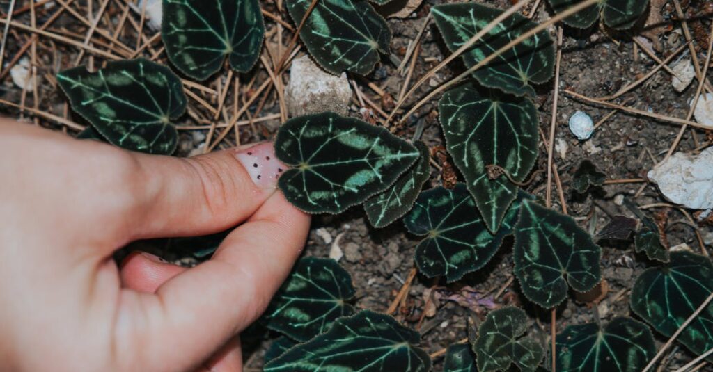 大地にそっと触れる手。土のエネルギーが、ふわふわした心を静かに支えてくれる。