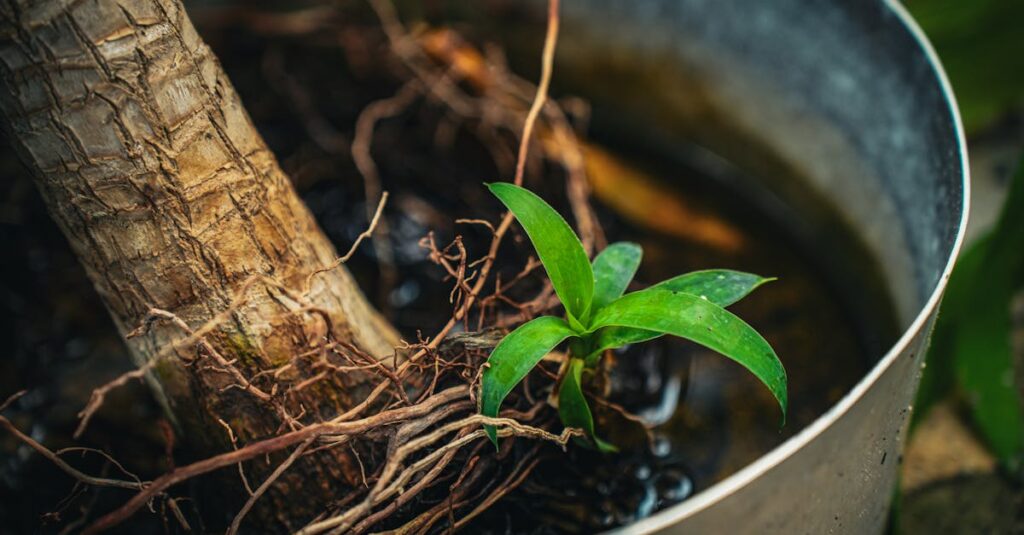 影山と日向が信頼関係を築き、共に成長していく名場面を象徴するシーン