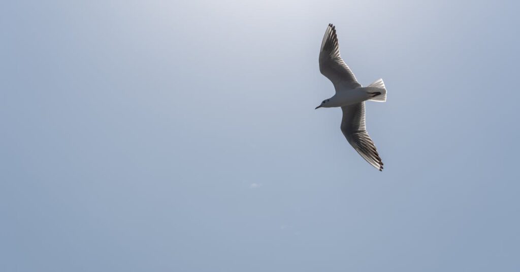 開いた手からそっと離れていくもの。手放すことが、新しい一歩への扉を開く。