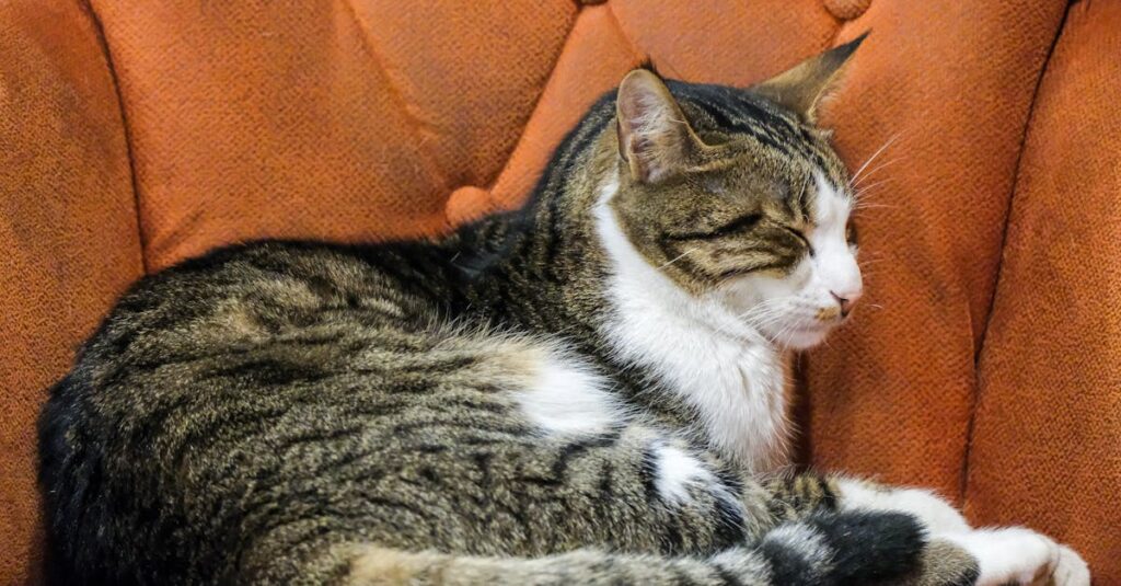 ぼんやりとした午後に静かに存在しているイメージ