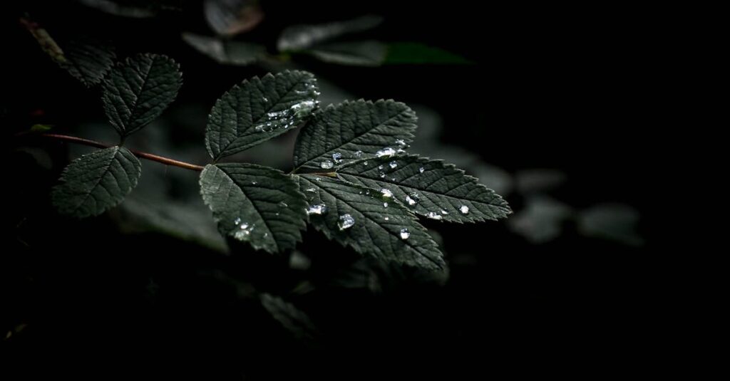 雨の音がゆっくりと心の緊張をほどいていくイメージ