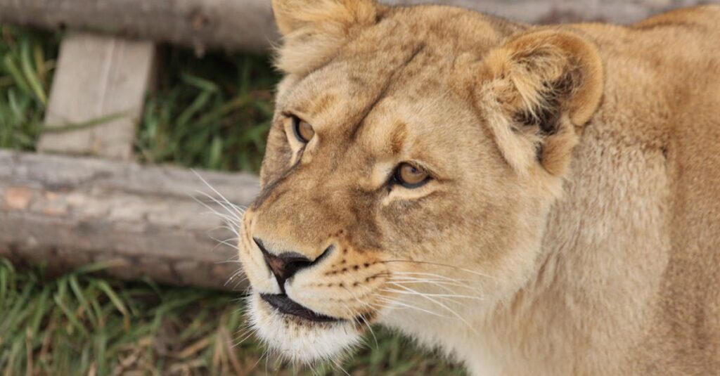 自分らしく静かに強くあることを象徴する七賢人の哲学的イメージ