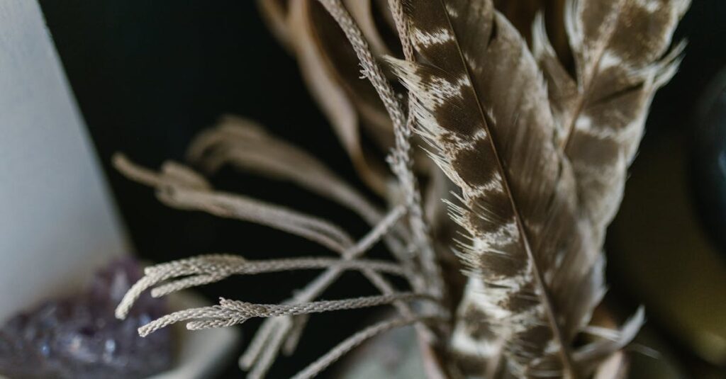 5枚の象徴的なタロットカードが1日のメッセージとして並んでいるビジュアル