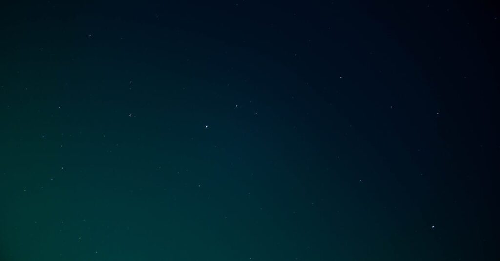 やわらかな星座の光。星とキャラクターを重ねることで、自分の本質が静かに見えてくる。