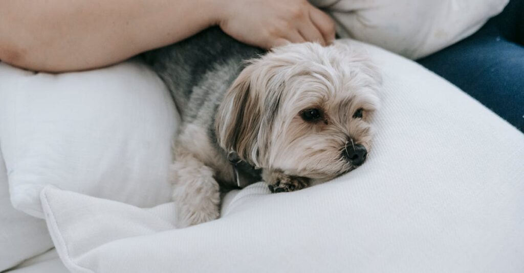 人間関係に疲れたときに心が軽くなるアニメの名言を思い出す女性、やさしい光の中で癒される姿