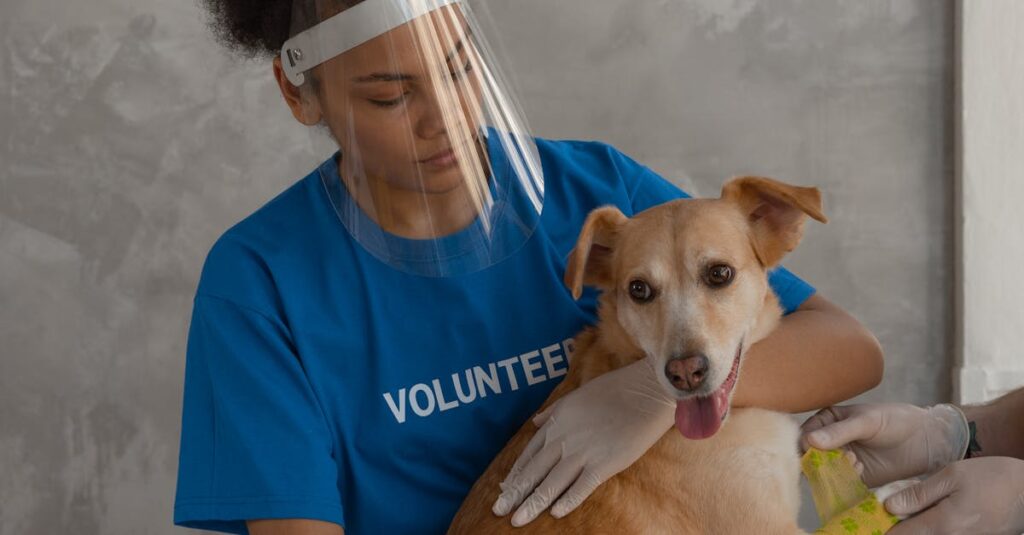 アニメのやさしいセリフに心がほぐれる瞬間