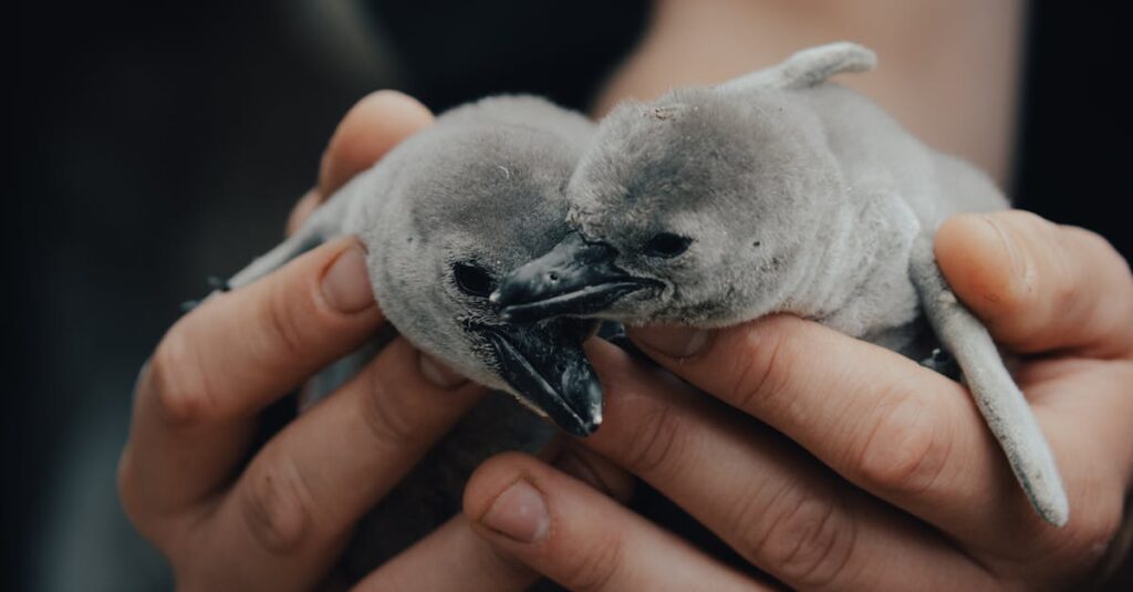 『夢中さ君に』が教えてくれる、ぼんやり生きることの肯定感
