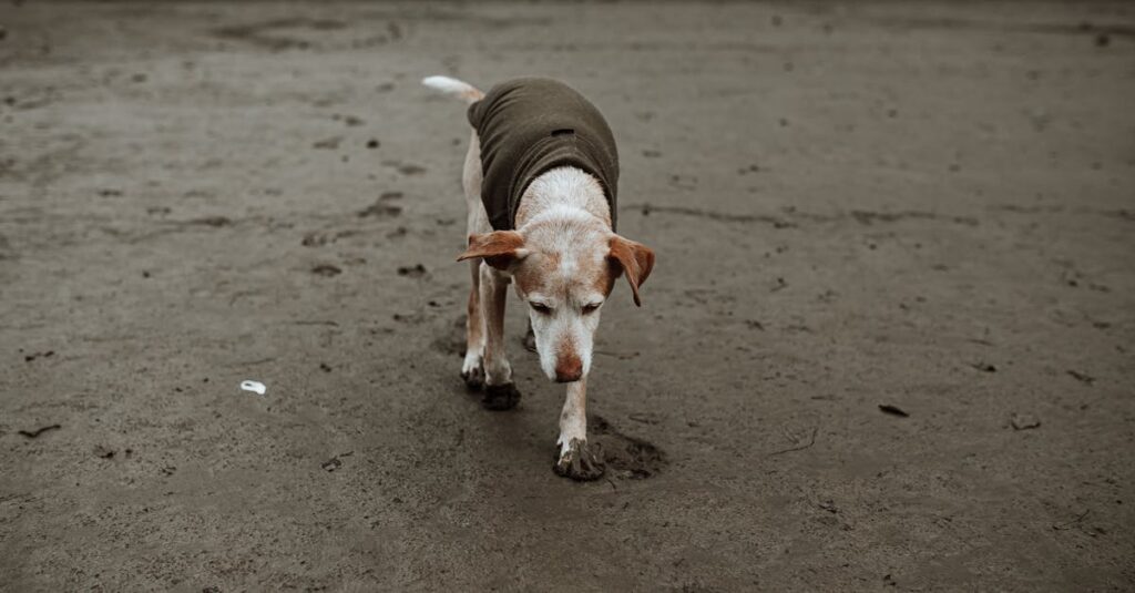 自己犠牲的な行動で孤独を感じるアニメキャラのイメージ