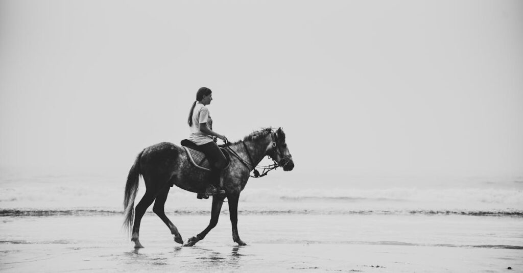 感情をコンパスに、自分の未来を見つめるアニメキャラクターのシルエット