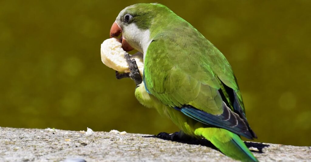 努力が誰にも評価されず虚しさを感じるアニメキャラクター