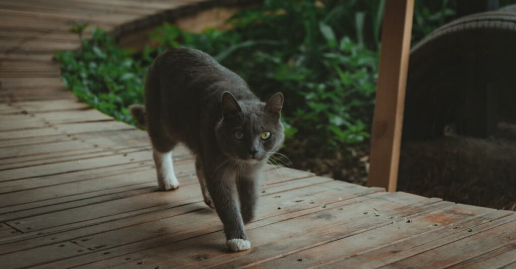 旅の仲間たちと出会う不滅のあなたへの主人公を描いた情景