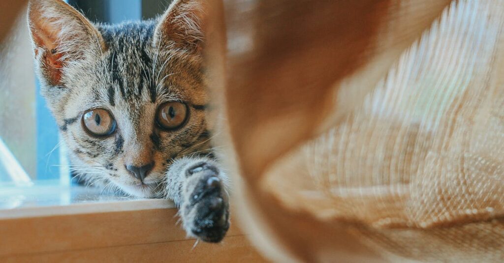 素直な気持ちを少しずつ言葉にするアニメキャラクターの姿