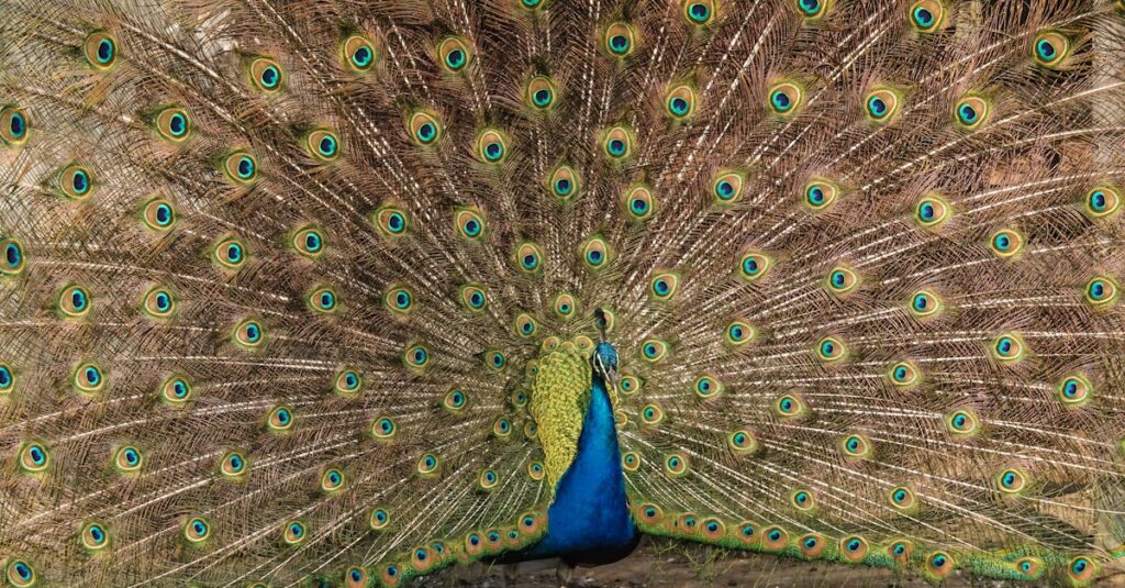 気持ちを伝えた自分に誇りを感じているアニメキャラクターの涙