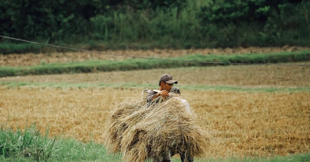 やわらかな光の中で土を耕す男性。静かな労働の中で、自分だけの速度で何かが育っていく。