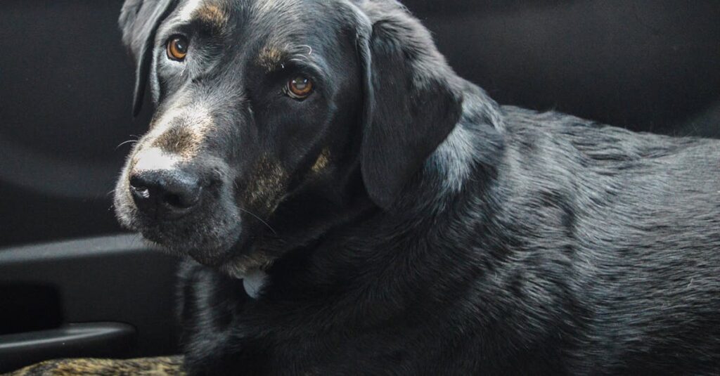 誰かの言葉を急かさずに待つ優しいキャラクターのまなざしを描いたイメージ