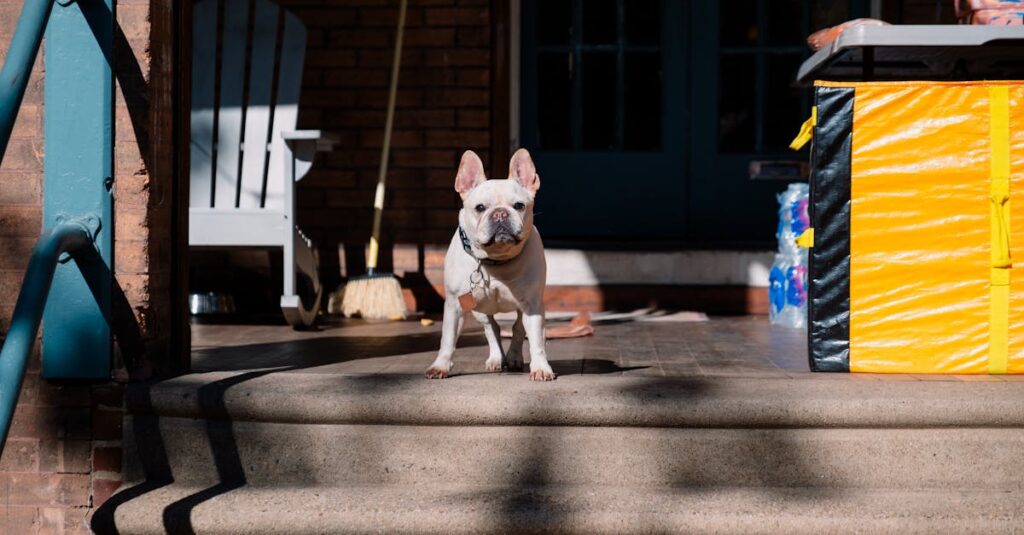 小さな一歩を踏み出すアニメキャラクターの決意シーン