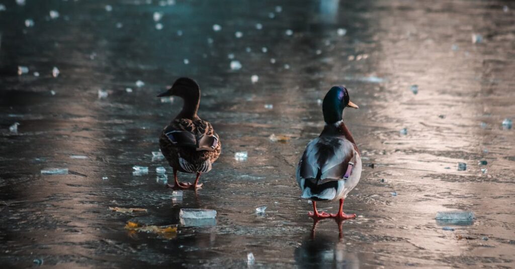 変化を受け入れた主人公が静かに微笑むヴィンランド・サガのラストシーンのようなイメージ