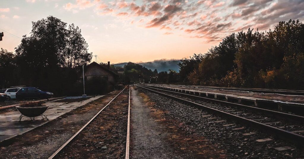 夜明けを背に、自分の道を選び進むアニメキャラクターのシルエット