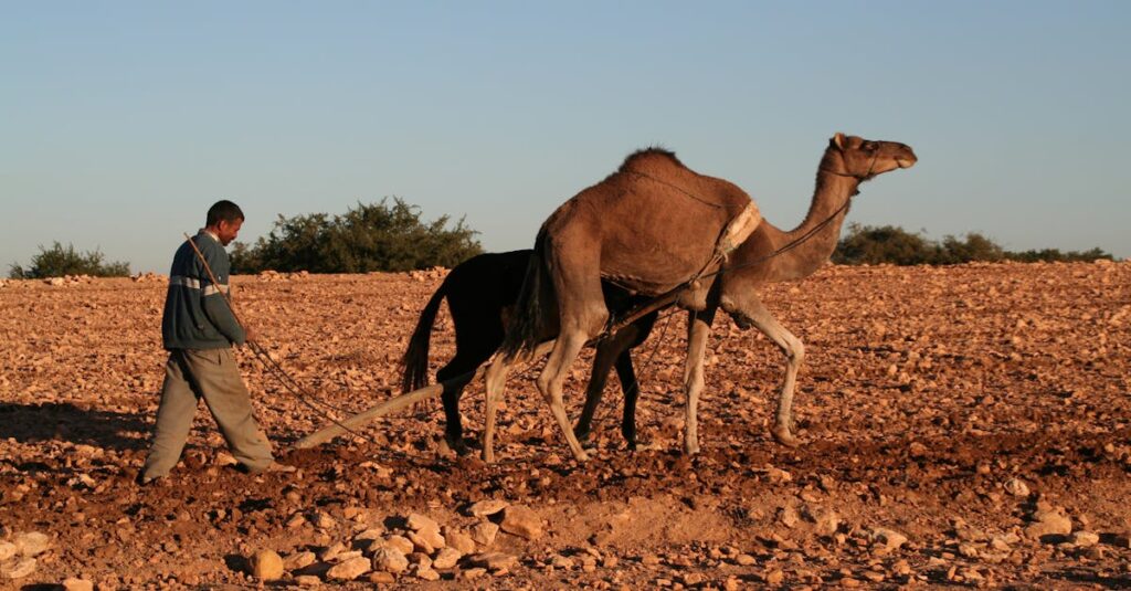 努力が誰にも評価されず虚しさを感じるアニメキャラクター