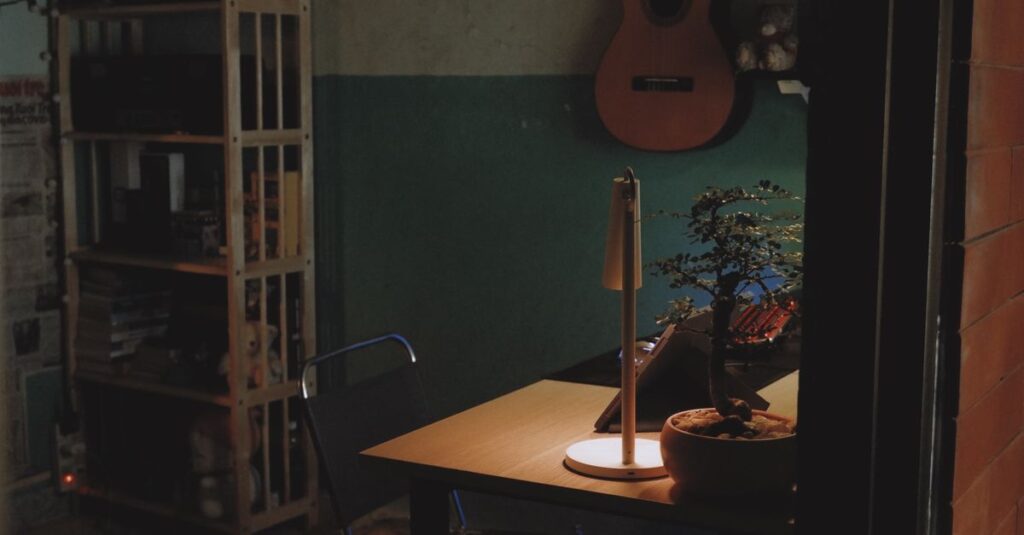 薄暗い部屋でギターを抱える女の子。孤独の中で育った音楽が、やがて誰かの心に届いていく。