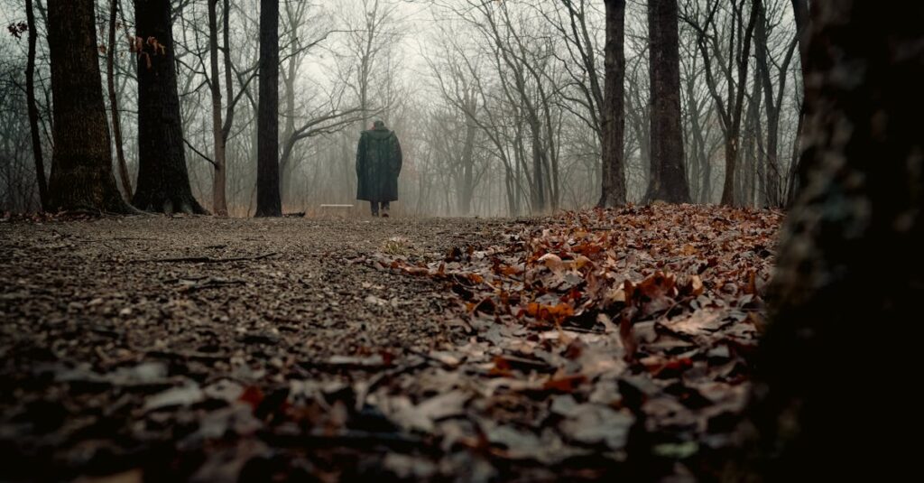 季節を越えてひとり歩き続ける存在。出会いと別れを繰り返しながら、少しずつ変わっていく。