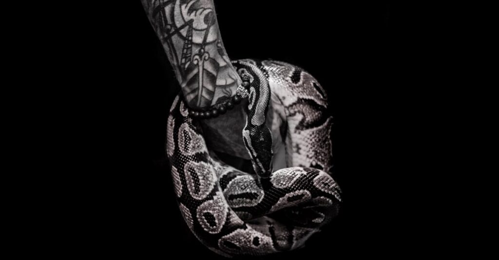 恋心を伝えることへの恐怖に悩むアニメキャラクターの表情