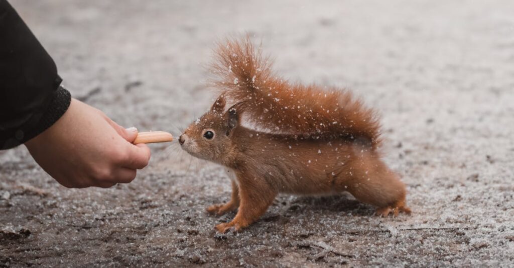 見せかけの優しさで誤解が生まれるアニメキャラクターたち