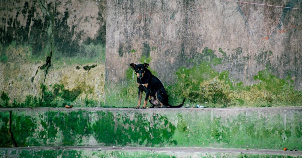 自分の気持ちを見失ってしまったアニメキャラクターの寂しげな姿