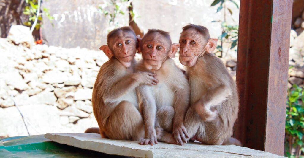 旅の仲間と感情を共有するエルフ、表情が少しずつ柔らかくなっていく様子