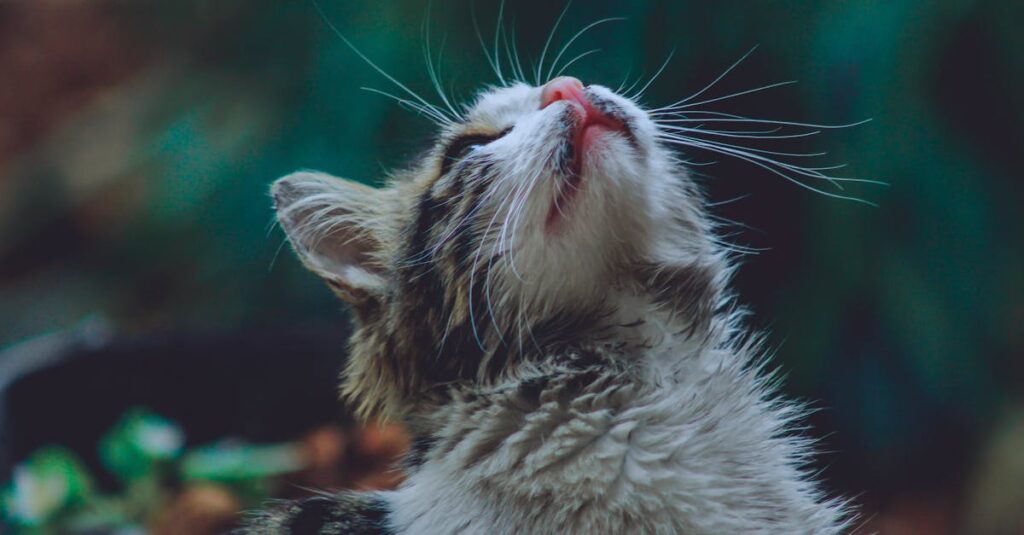 素直な気持ちを少しずつ言葉にするアニメキャラクターの姿