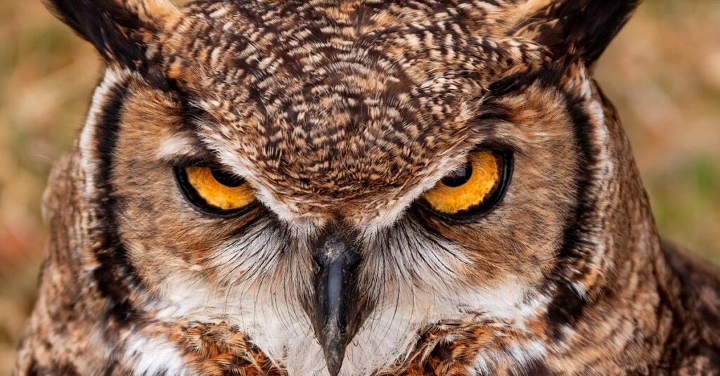 気持ちを伝えられず後悔するアニメキャラクターの涙