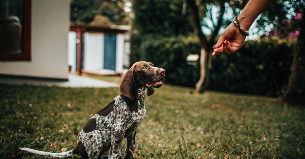 他人の幸せも自分の幸せも大切にし始めたアニメキャラクター