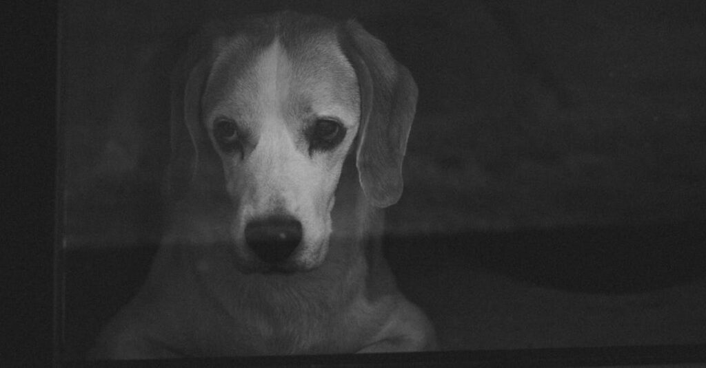 本音を言えず笑顔で応援するアニメキャラの姿