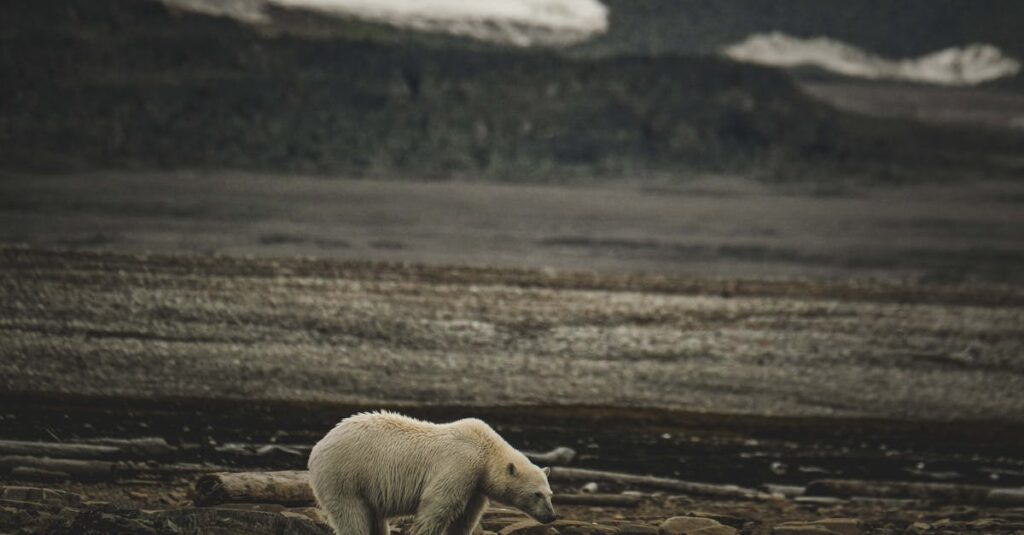 他人を支え続け自分は孤独を抱えるアニメキャラクター