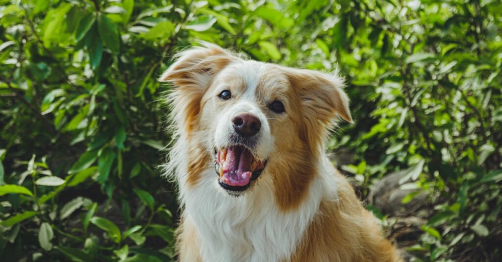 アニメの中で繰り広げられる巧妙な恋愛心理戦の象徴的なシーン